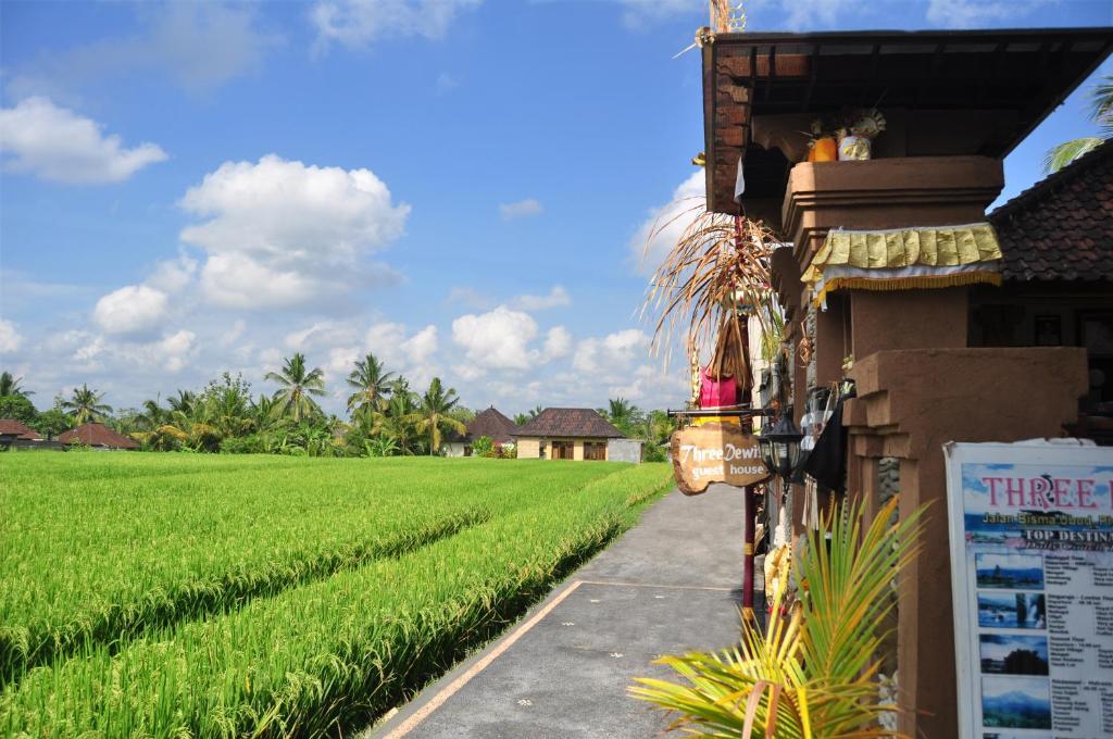 Three Dewi'S Guest House Ubud Buitenkant foto